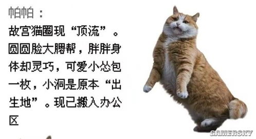 (合成大猫咪)合成大猫大全：全球匠心合成游戏，打造你的猫王帝国